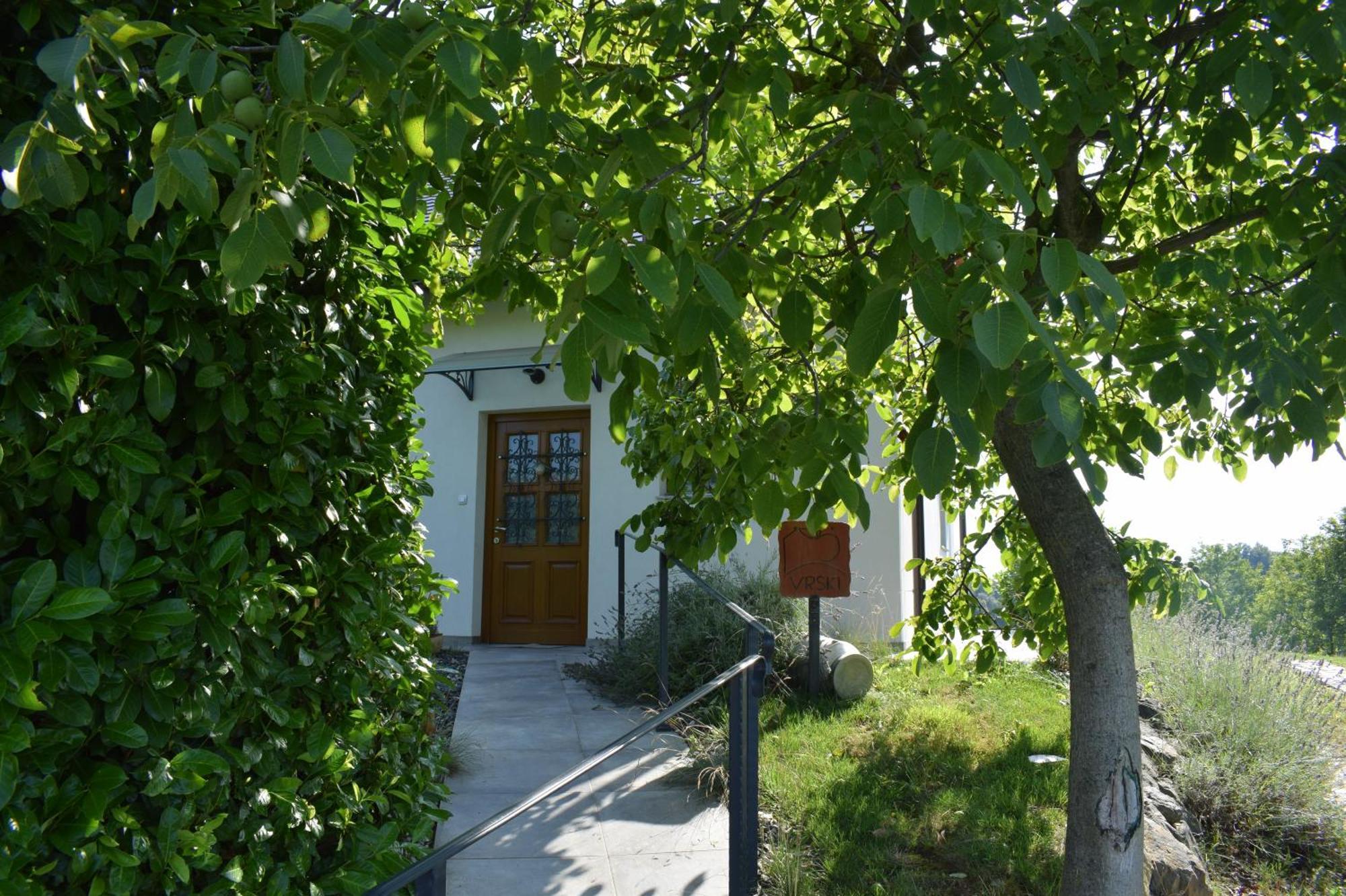 Domacija Vrski Slovenska Bistrica Extérieur photo